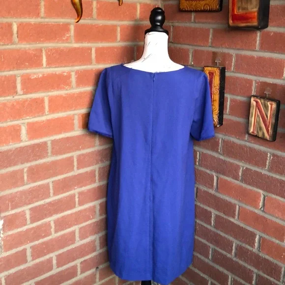 Ann Taylor Loft Dress - Picture 5 of 8